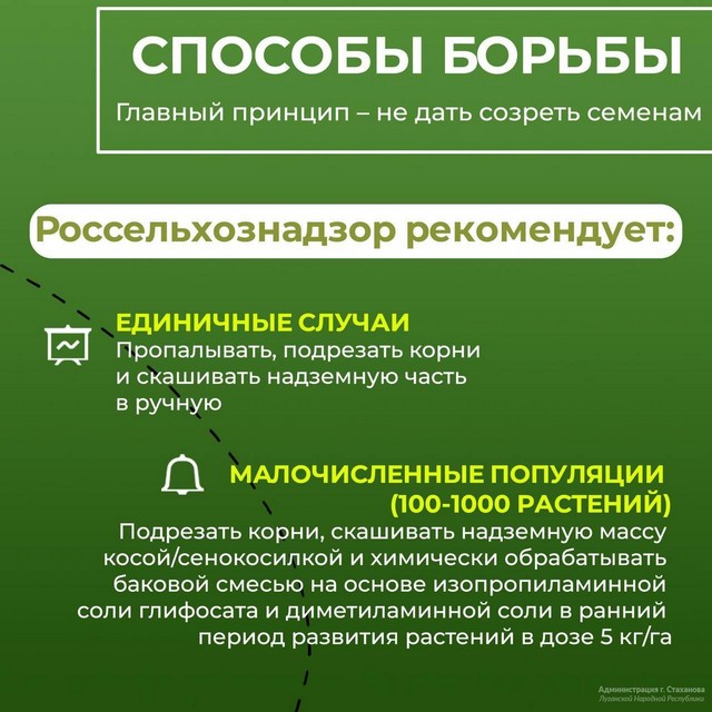 foto 2025 06 05 15 18 003