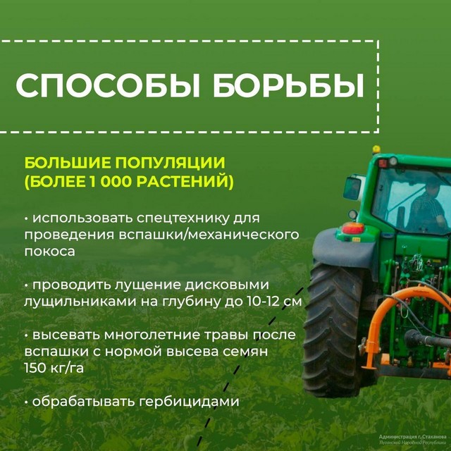 foto 2025 06 05 15 18 004